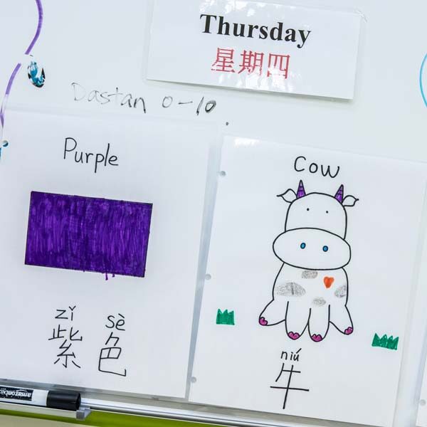 Classroom labels with English and Mandarin words for Thursday, Purple and Cow